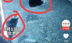 乐鱼体育官网入口-关于亚特兰大发生罕见冰雹天气，市民需注意交通安全的信息