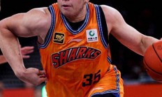 乐鱼体育投注-美国队势如破竹，继续征服对手