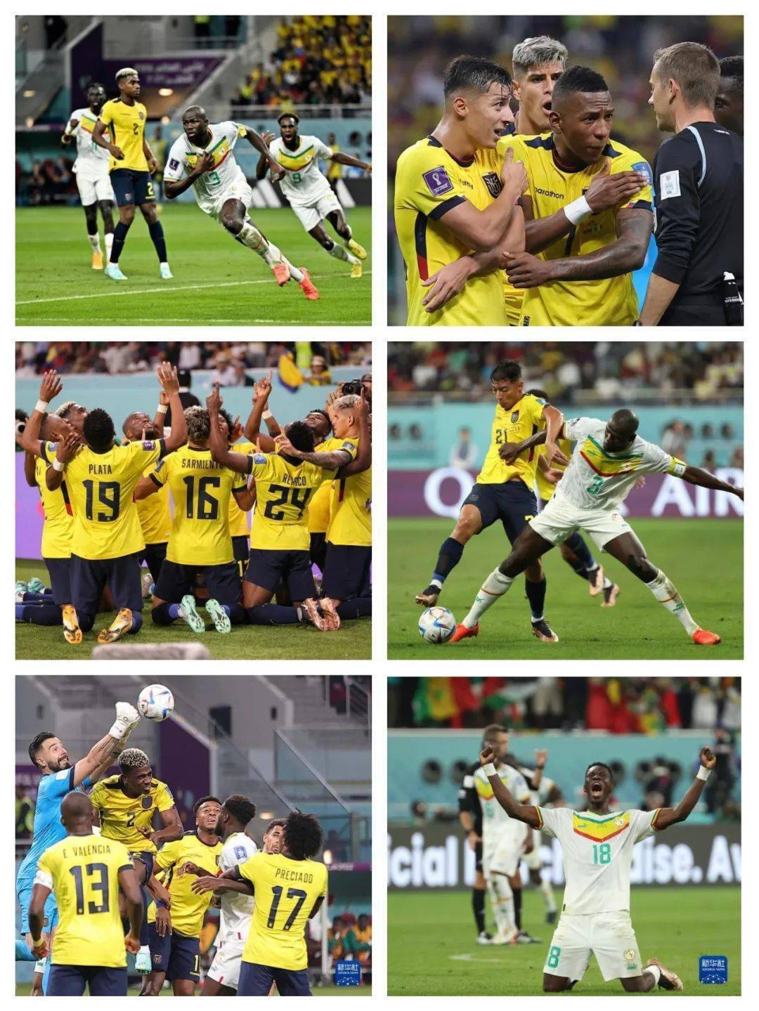 关于新加坡雄狮不敌对手，滑落小组垫底的信息